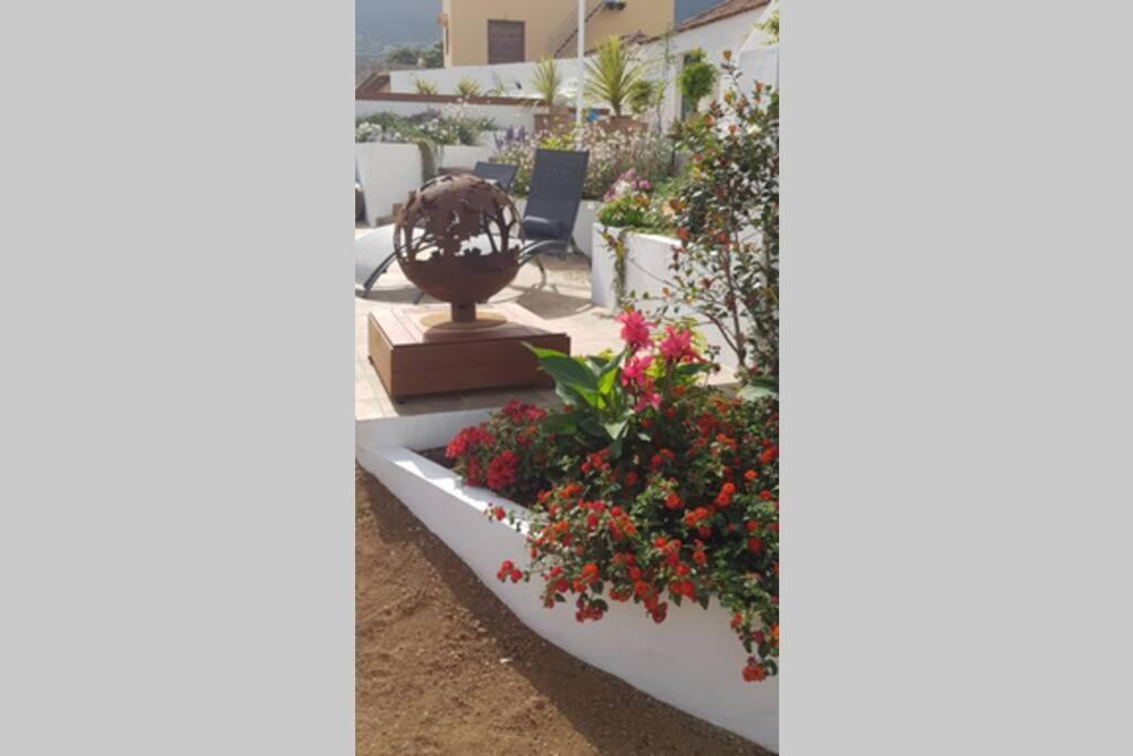 Casa Vina: A Spectacular Away From It All Holiday Ла Оротава Екстериор снимка